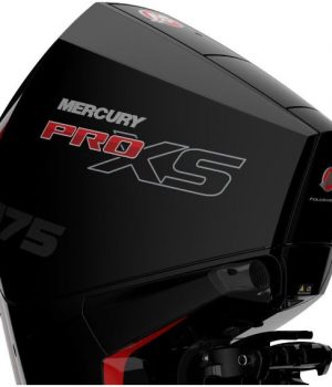 Mercury 175 Pro XS MS