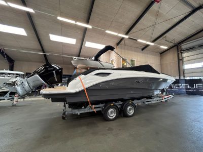 Ny Sea Ray 250 SDX 2